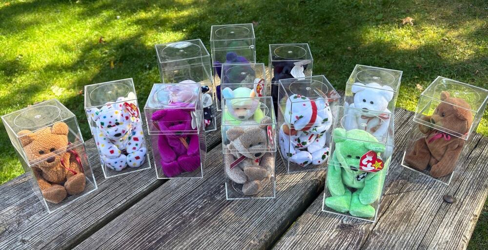 12 Vintage TY Beanie Babies w/ Individual Acrylic Display Cases – 10 Hang Tags